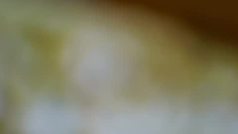 germanandy71 online show from 11.13.25