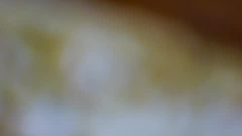 germanandy71 online show from 11.23.25