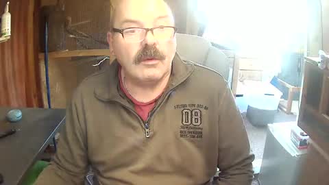 germany_50 online show from 11.17.25