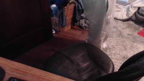 Snapshot of gethoggy chatting on 01.25.25 gethoggy online show from 01.25.25