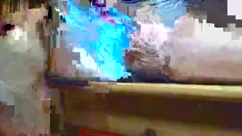 Ptite bite online show from 11.01.25