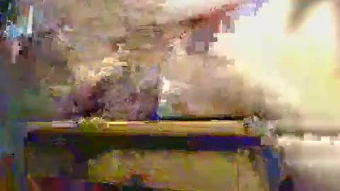 Ptite bite online show from 12.01.25