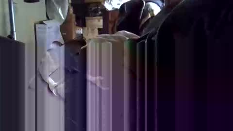 Corrado online show from 01.19.26