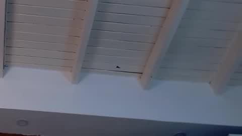 gigi wilden online show from 02.19.25