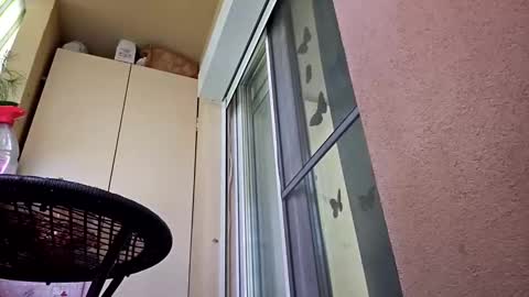 gigis111 online show from 02.12.25