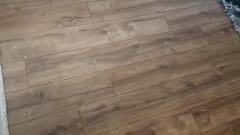 gigis111 online show from 02.26.25