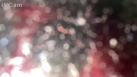 GingerNinja online show from 01.12.25