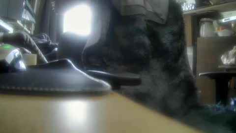 giovanne1 online show from 12.05.24