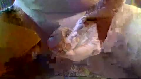 Snapshot of girafsnoop chatting on 01.19.25 girafsnoop online show from 01.19.25