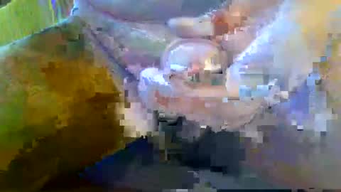 Snapshot of girafsnoop chatting on 09.28.25 girafsnoop online show from 09.28.25