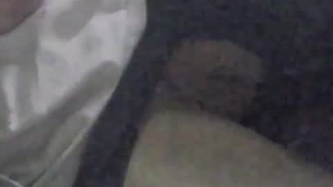 Snapshot of girlscallme666 chatting on 09.09.25 lovegirlscallme online show from 09.09.25