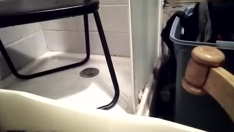 Snapshot of girlscallme666 chatting on 12.01.25 lovegirlscallme online show from 12.01.25