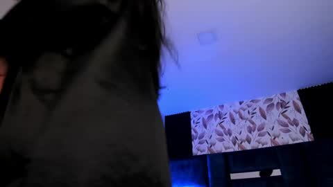     online show from 05.11.26