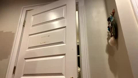 Lets get wierd online show from 10.24.25