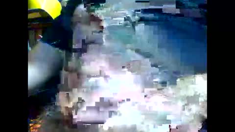 PencilDick online show from 11.21.25