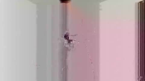 Snapshot of goblue4133 chatting on 12.25.24 goblue4133 online show from 12.25.24