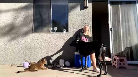 GoddessMayvn online show from 12.10.24