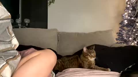 GoddessMayvn online show from 12.29.24