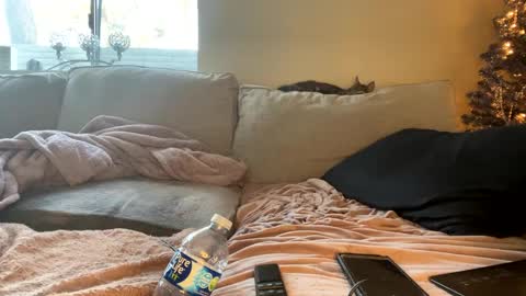 GoddessMayvn online show from 12.29.24