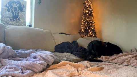 GoddessMayvn online show from 01.10.25