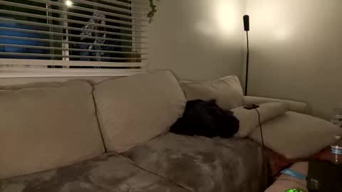 GoddessMayvn online show from 01.26.25