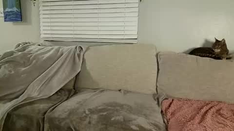 GoddessMayvn online show from 01.30.25