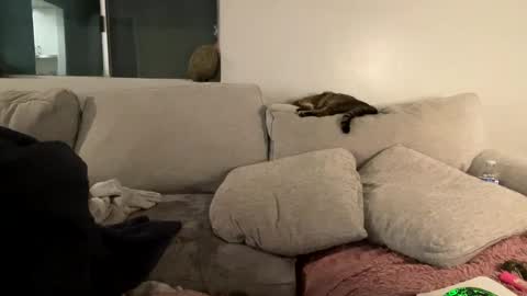 GoddessMayvn online show from 02.03.25