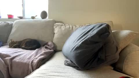 GoddessMayvn online show from 02.11.25