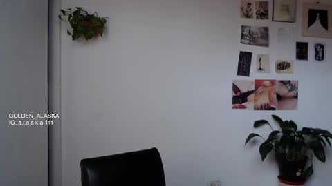 Snapshot of golden_alaska chatting on 10.08.25 Alaska online show from 10.08.25