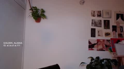 Snapshot of golden_alaska chatting on 10.20.25 Alaska online show from 10.20.25