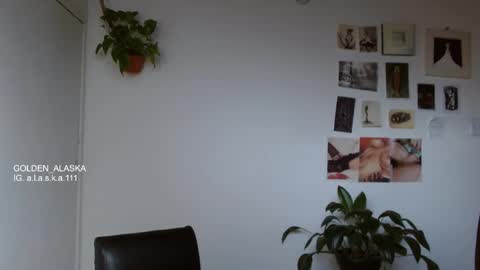 Snapshot of golden_alaska chatting on 11.09.25 Alaska online show from 11.09.25