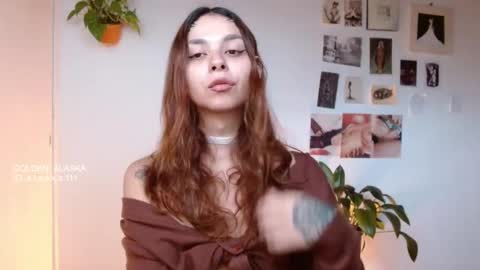 Snapshot of golden_alaska chatting on 11.11.25 Alaska online show from 11.11.25