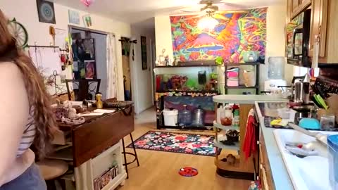 goodgirlcelestecat online show from 11.21.25