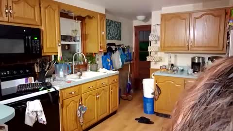 Snapshot of goodgirlcelestecat chatting on 03.23.26 goodgirlcelestecat online show from 03.23.26