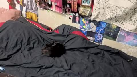 Amy online show from 11.07.25