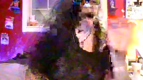 GothickMaiden online show from 07.11.26