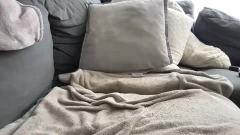 Snapshot of gotthisbbc chatting on 11.06.25 gotthisbbc online show from 11.06.25