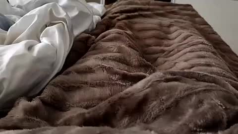 Hazme gozar online show from 02.14.25