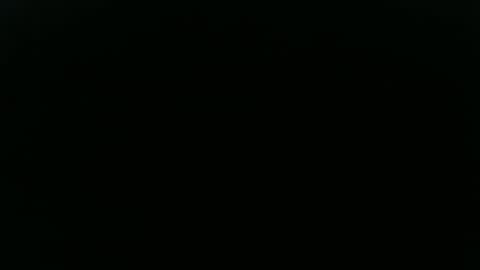 Longwood online show from 09.12.25