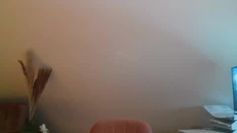 grau197077 online show from 02.02.26