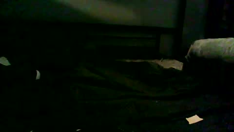 grd137 online show from 09.12.25