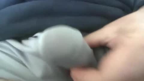 gr8head online show from 04.07.26