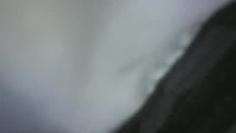 Green Robin Hood online show from 12.02.24