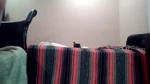 Jack online show from 04.11.26