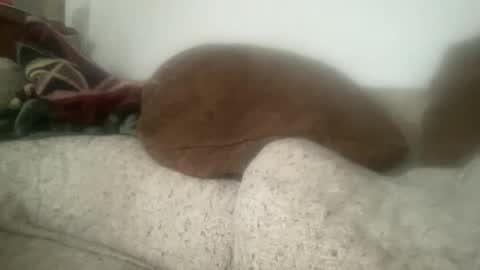 Sonny online show from 12.21.25