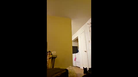 Snapshot of greenvertgo chatting on 12.15.25 greenvertgo online show from 12.15.25