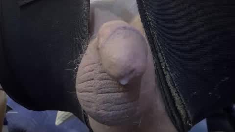 electrogee1 online show from 02.19.26