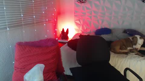 Snapshot of gretta_n_dannie chatting on 01.14.25 Gretta n dannie online show from 01.14.25