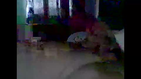 Snapshot of grittslappa chatting on 11.11.25 grittslappa online show from 11.11.25