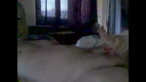 Snapshot of grittslappa chatting on 11.14.25 grittslappa online show from 11.14.25